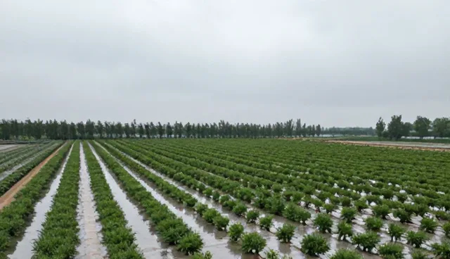 来料加工全流程跟进如何驱动生产效率提升